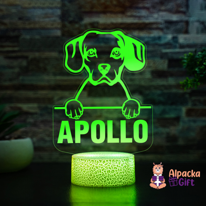 Lampă 3D - Cav-A-Jack [4]
