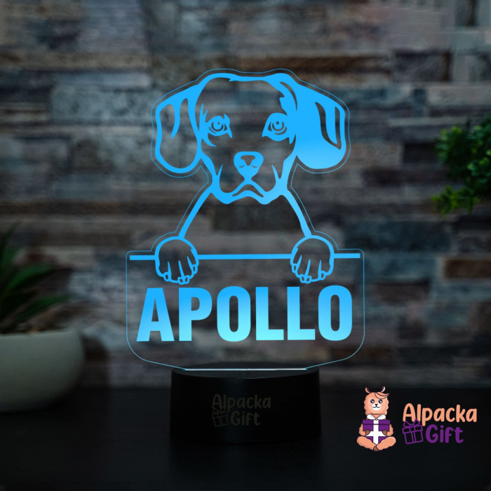 Lampă 3D - Cav-A-Jack [2]