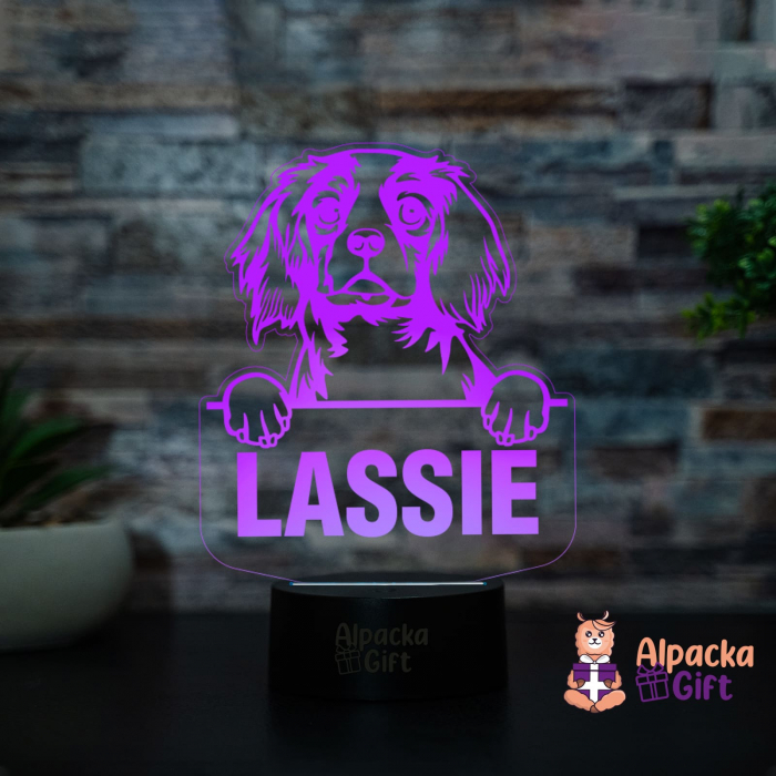 Lampă 3D - Cavalier King Charles Spaniel [4]