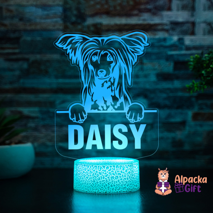 Lampă 3D - Chinezesc cu Moț (Chinese Crested) [3]