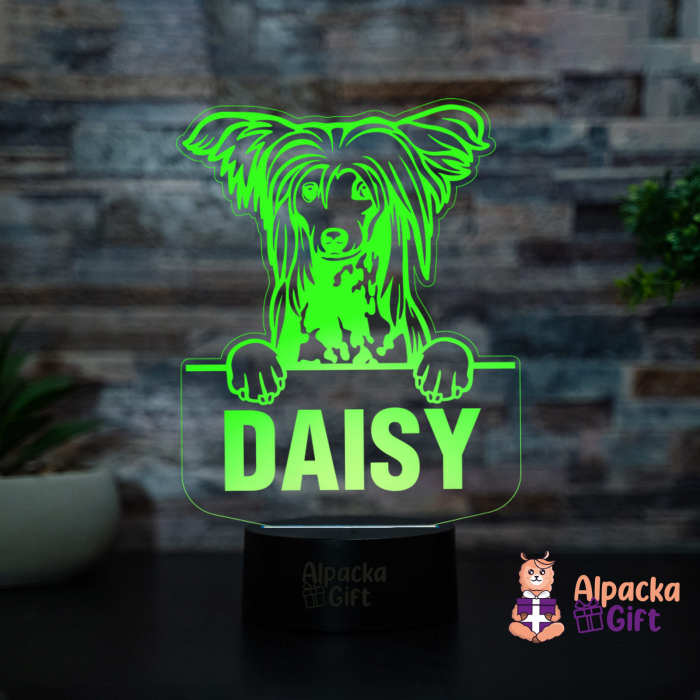 Lampă 3D - Chinezesc cu Moț (Chinese Crested) [2]