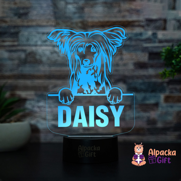 Lampă 3D - Chinezesc cu Moț (Chinese Crested) [3]