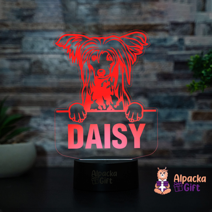 Lampă 3D - Chinezesc cu Moț (Chinese Crested) [4]