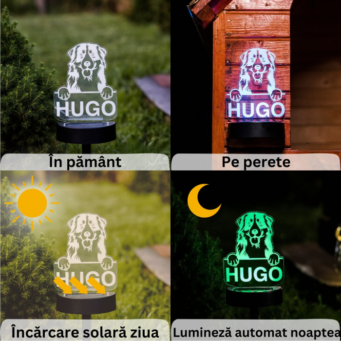 Lampa 3D de Gradina - Ciuperci [5]