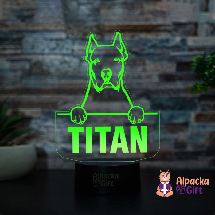 Lampă 3D - Dog Argentinian (Dogo Argentino) [2]