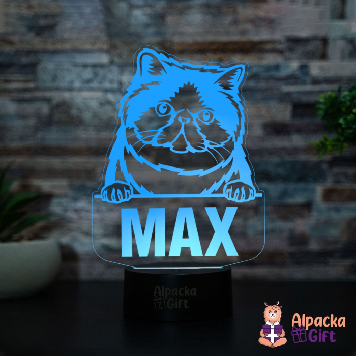 Lampă 3D - Exotic Shorthair [2]