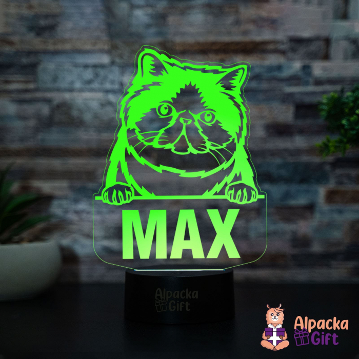 Lampă 3D - Exotic Shorthair [3]