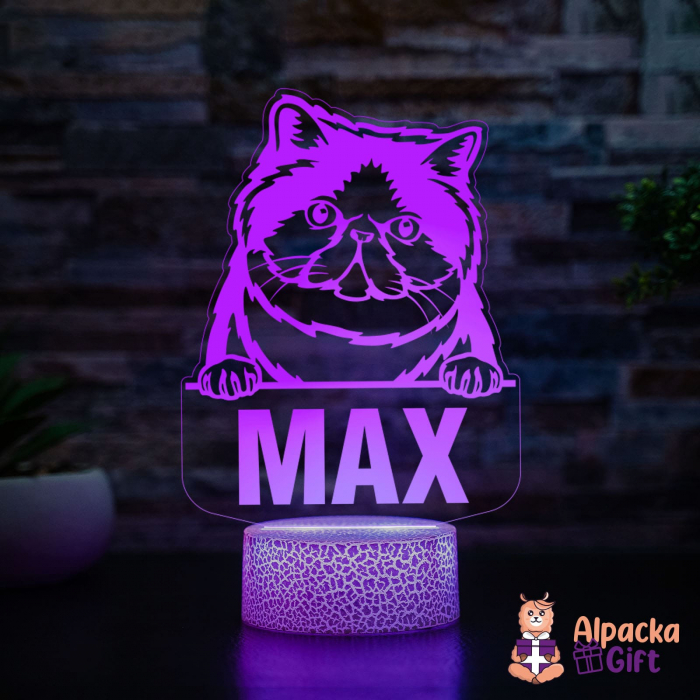 Lampă 3D - Exotic Shorthair [2]
