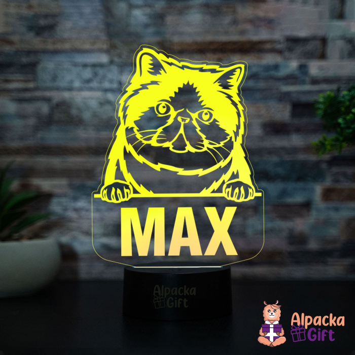 Lampă 3D - Exotic Shorthair [4]