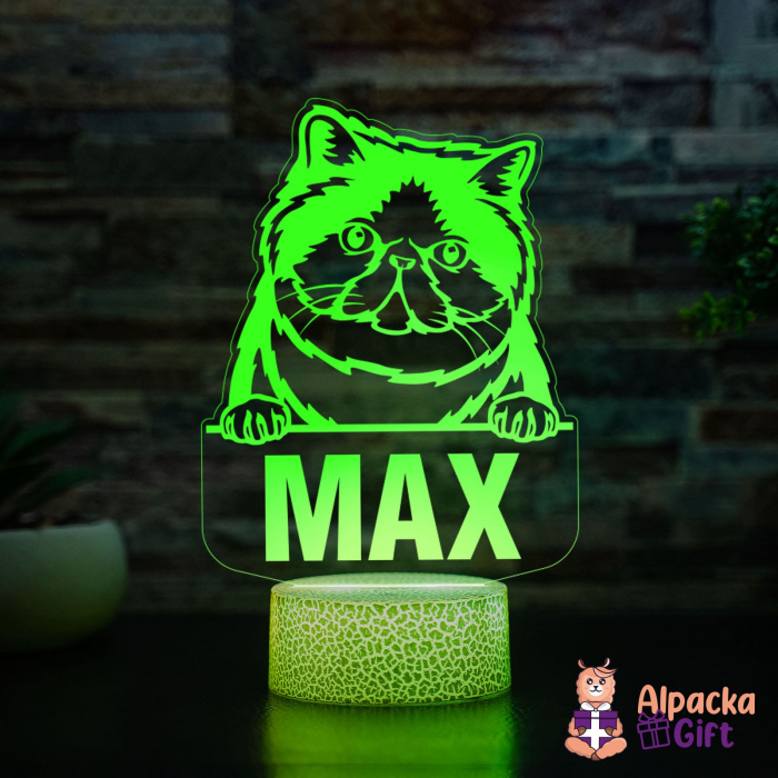 Lampă 3D - Exotic Shorthair [3]