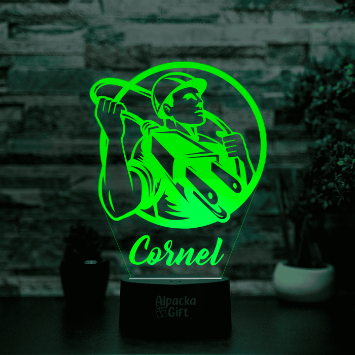 Lampă 3D - Electrician 2 [5]