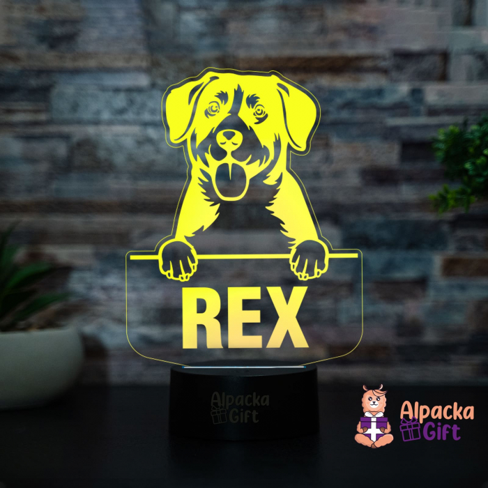 Lampă 3D - Entlebucher Mountain Dog [3]