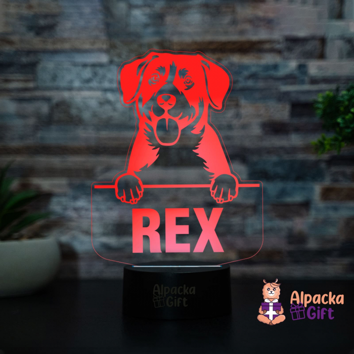 Lampă 3D - Entlebucher Mountain Dog [2]