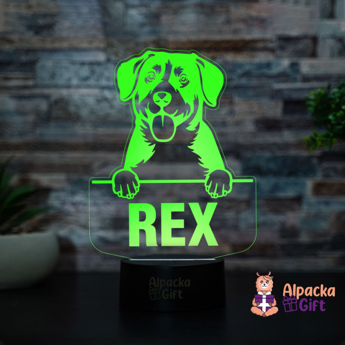 Lampă 3D - Entlebucher Mountain Dog [4]