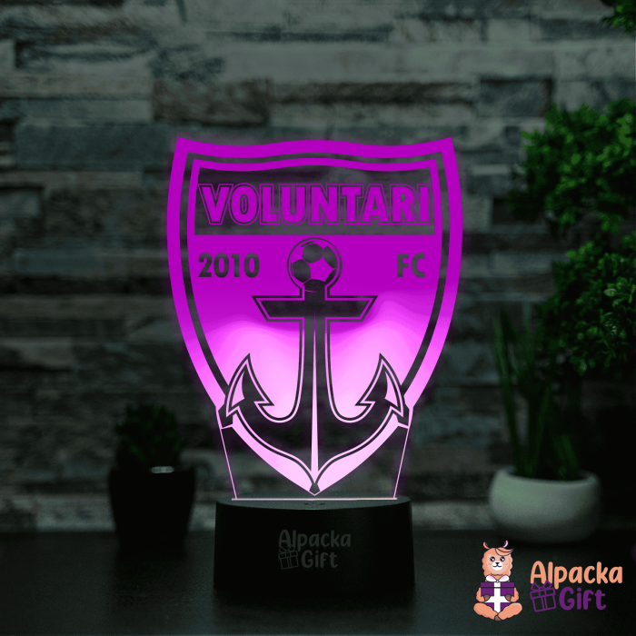 Lampă 3D Voluntari [4]