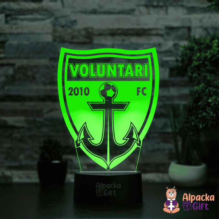 Lampă 3D Voluntari [5]