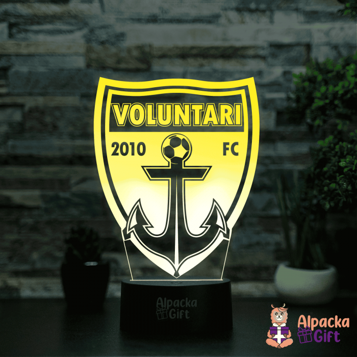 Lampă 3D Voluntari [3]