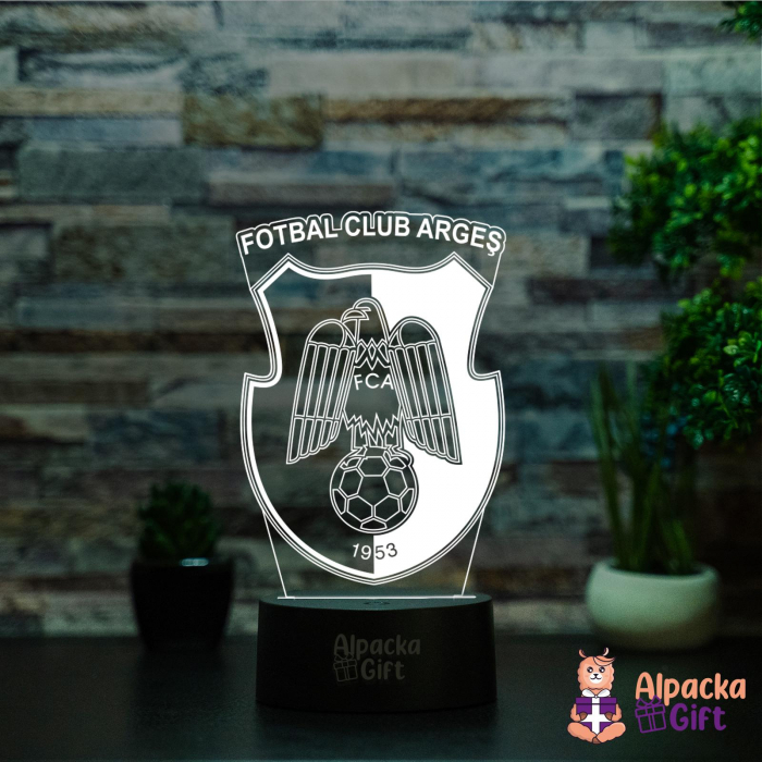 Lampa 3D FC Argeș [5]