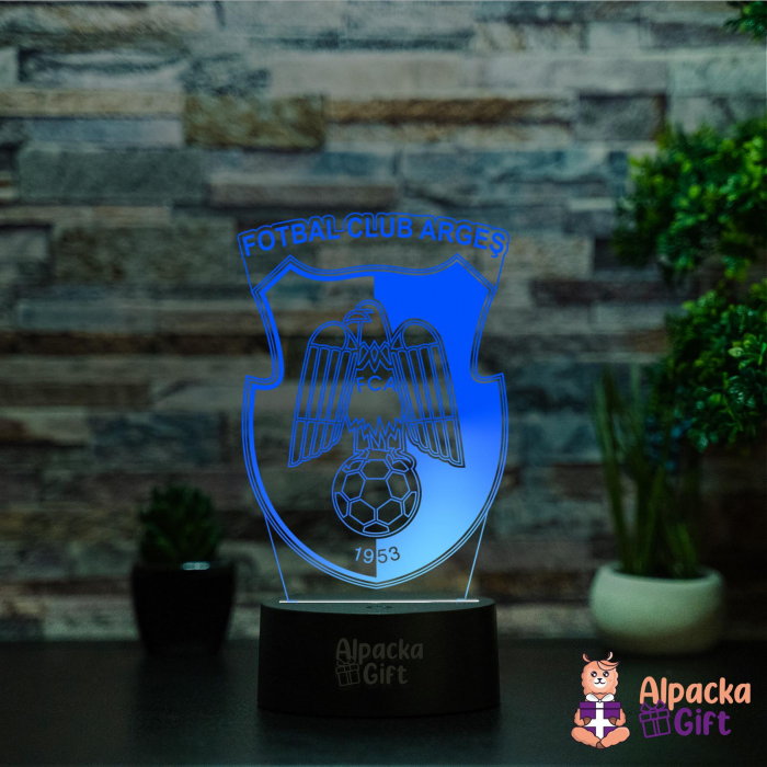 Lampa 3D FC Argeș [2]