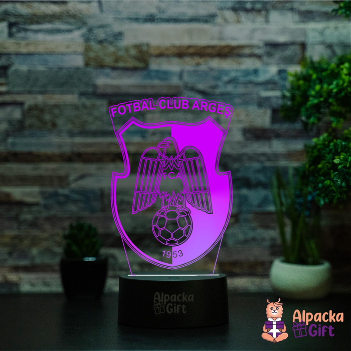 Lampa 3D FC Argeș [3]