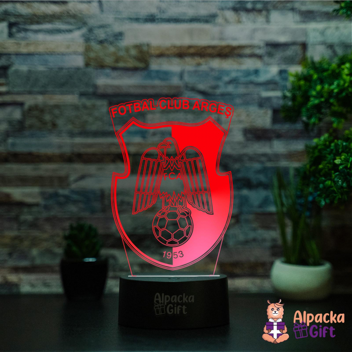 Lampa 3D FC Argeș [4]