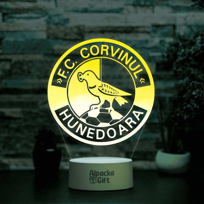 Lampa 3D - FC Corvinul Hunedoara [2]