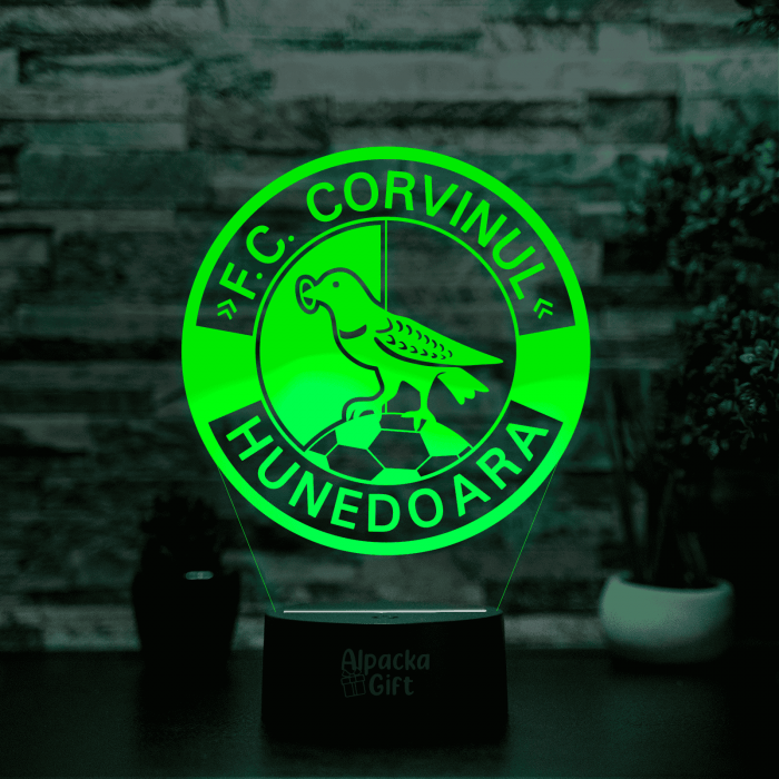 Lampa 3D - FC Corvinul Hunedoara [5]