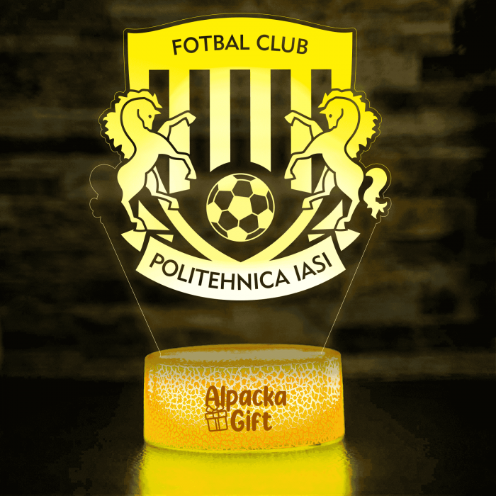 Lampa 3D - FC Politehnica Iași [3]