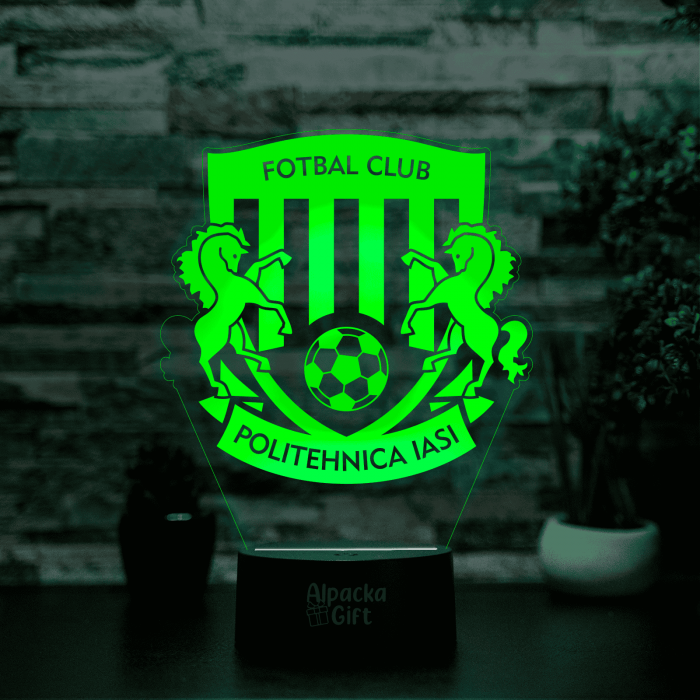 Lampa 3D - FC Politehnica Iași [5]
