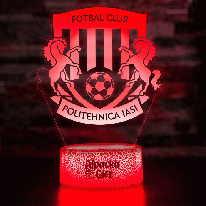 Lampa 3D - FC Politehnica Iași [5]