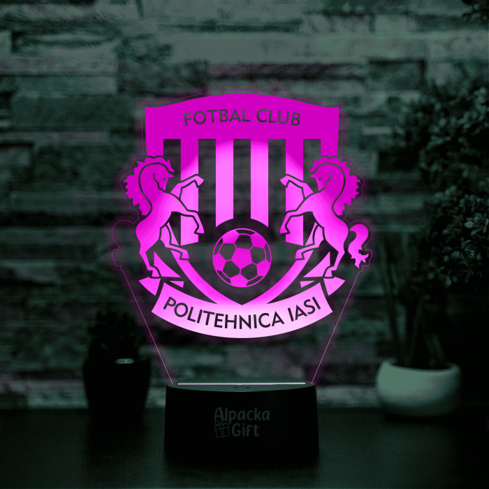 Lampa 3D - FC Politehnica Iași [3]