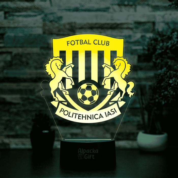 Lampa 3D - FC Politehnica Iași [2]