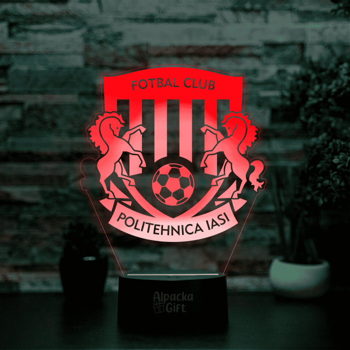 Lampa 3D - FC Politehnica Iași [4]