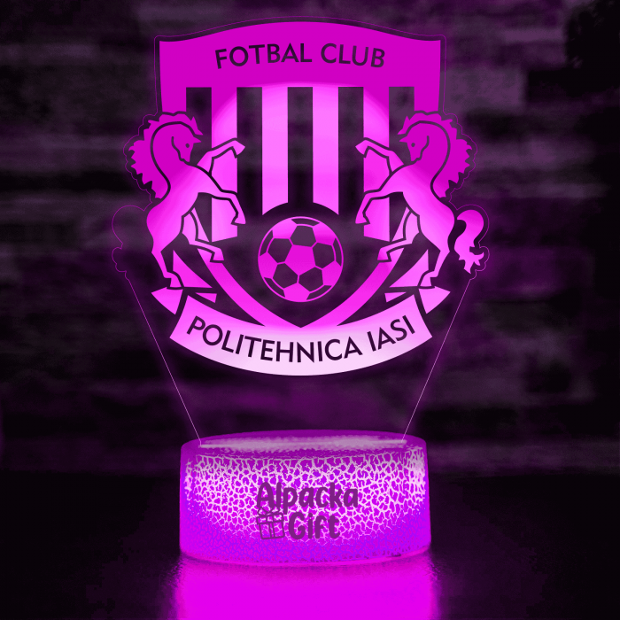 Lampa 3D - FC Politehnica Iași [4]