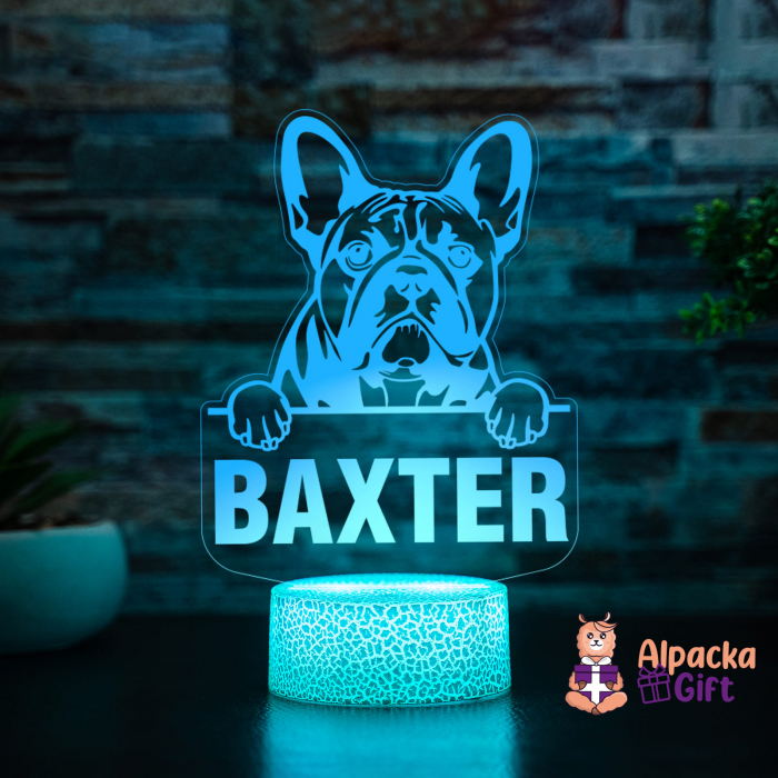Lampă 3D -French Bulldog [4]