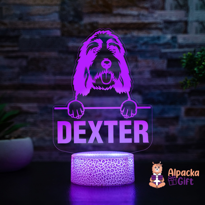 Lampă 3D - Grand Basset Griffon Vendeen [3]