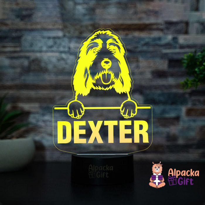 Lampă 3D - Grand Basset Griffon Vendeen [3]