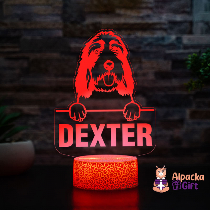 Lampă 3D - Grand Basset Griffon Vendeen [2]