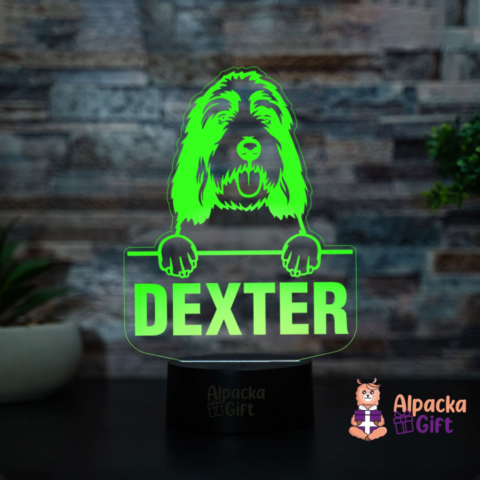 Lampă 3D - Grand Basset Griffon Vendeen [2]