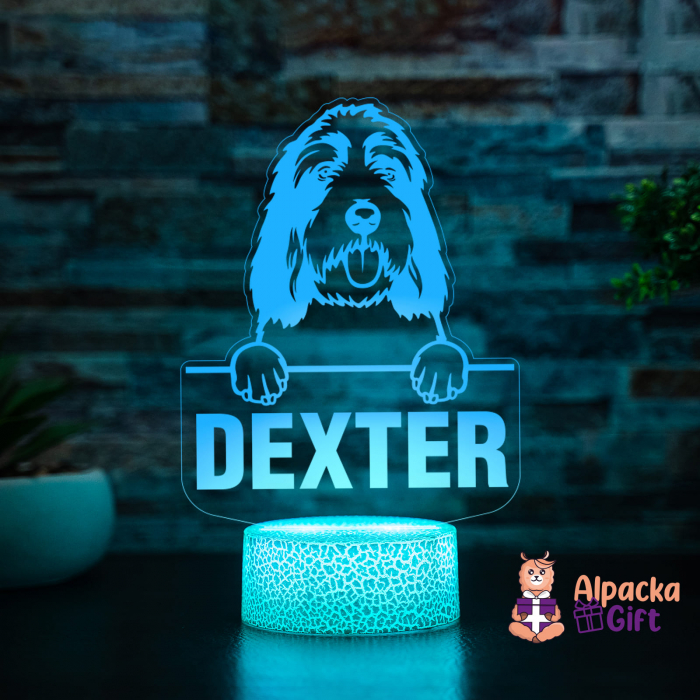 Lampă 3D - Grand Basset Griffon Vendeen [5]