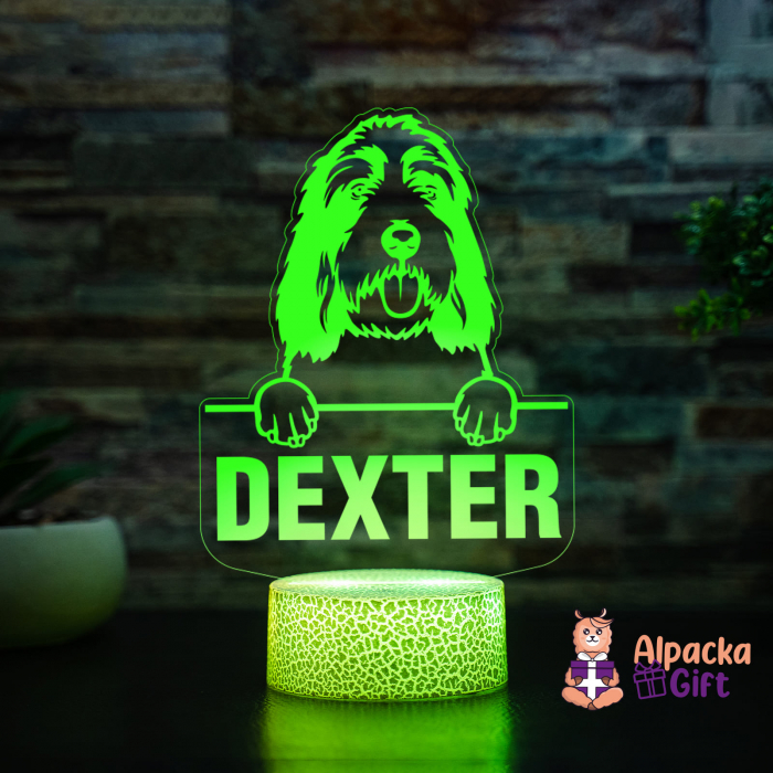 Lampă 3D - Grand Basset Griffon Vendeen [4]