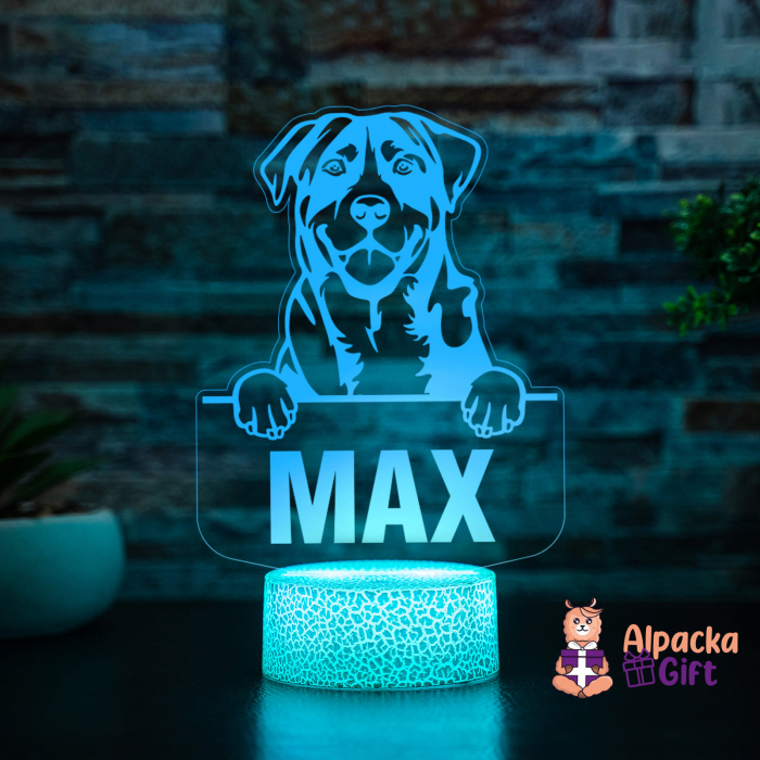 Lampă 3D - Caine de Munte Marele Elvetian (Greater Swiss Mountain Dog) [5]