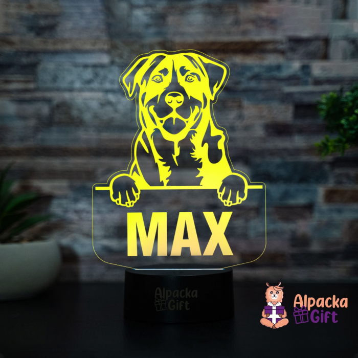 Lampă 3D - Caine de Munte Marele Elvetian (Greater Swiss Mountain Dog) [3]