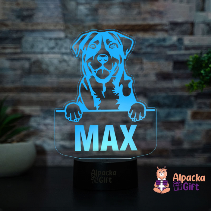 Lampă 3D - Caine de Munte Marele Elvetian (Greater Swiss Mountain Dog) [2]