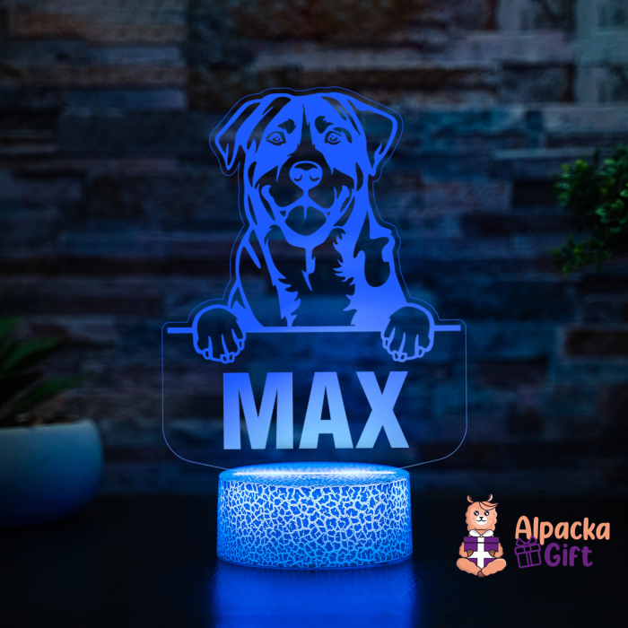 Lampă 3D - Caine de Munte Marele Elvetian (Greater Swiss Mountain Dog) [2]