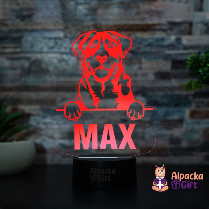 Lampă 3D - Caine de Munte Marele Elvetian (Greater Swiss Mountain Dog) [4]