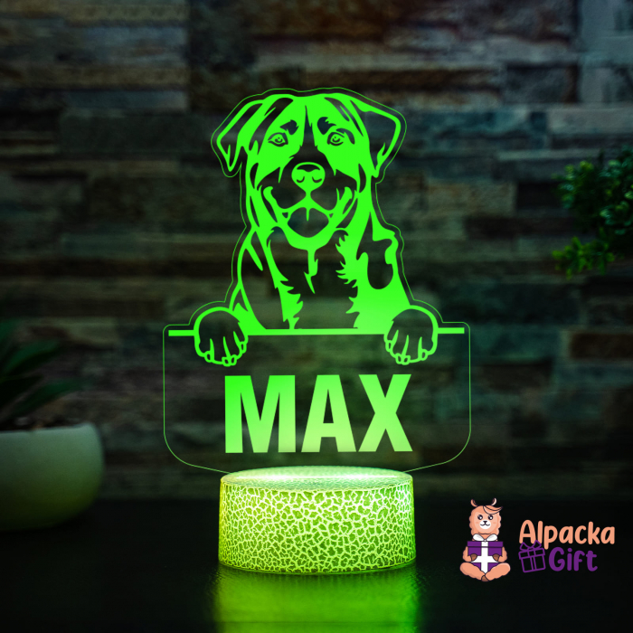 Lampă 3D - Caine de Munte Marele Elvetian (Greater Swiss Mountain Dog) [4]