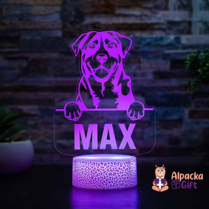 Lampă 3D - Caine de Munte Marele Elvetian (Greater Swiss Mountain Dog) [3]