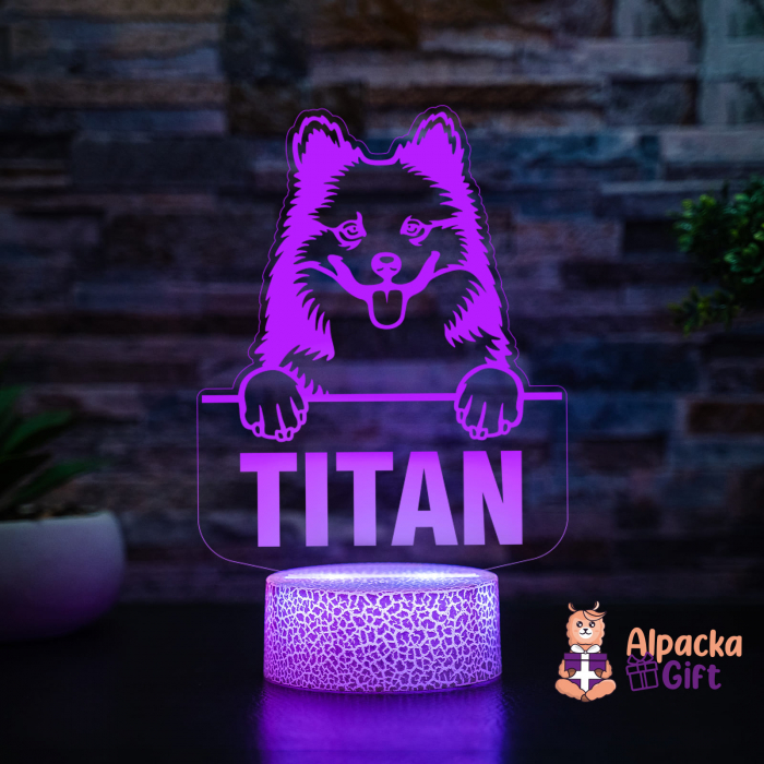 Lampă 3D - Ciobanesc Islandez (Icelandic Sheepdog) [4]