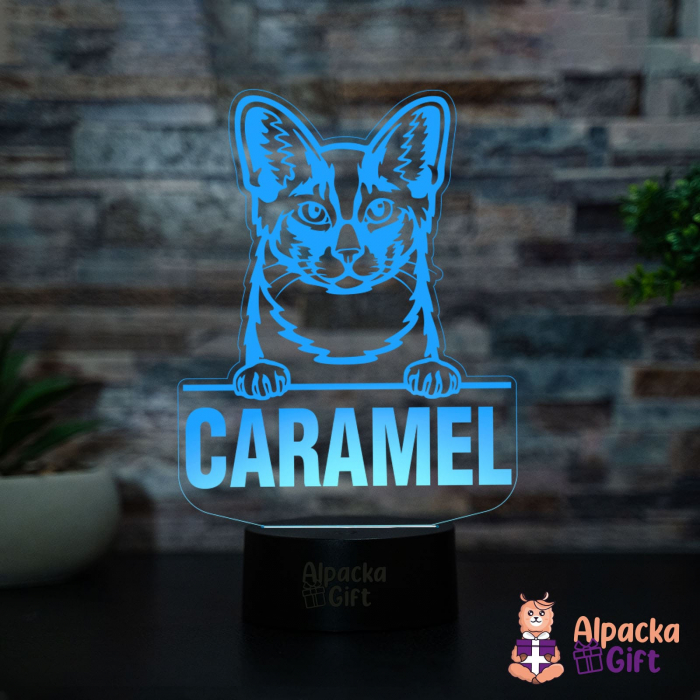 Lampă 3D - Longhair Shortcut [3]